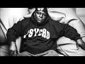 DJ Spooky Ft Killah Priest - Deckwrecka (Remix ReseBeats)(2013)