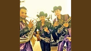 Buena Vision (En Estudio)