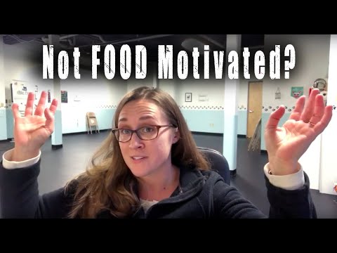 Not Food Motivated? Are You Sure?- Training Tip Tuesday