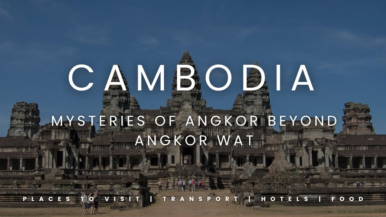 Massive Fossilized Tree Unearthed in Cambodia Offers Glimpse into Deep Past