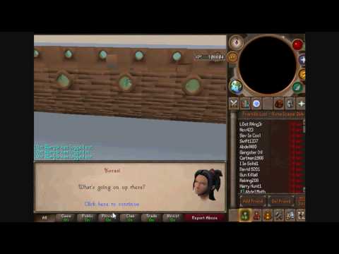 Quiet Before The Swarm (COMPLETE PUZZLE GUIDES)