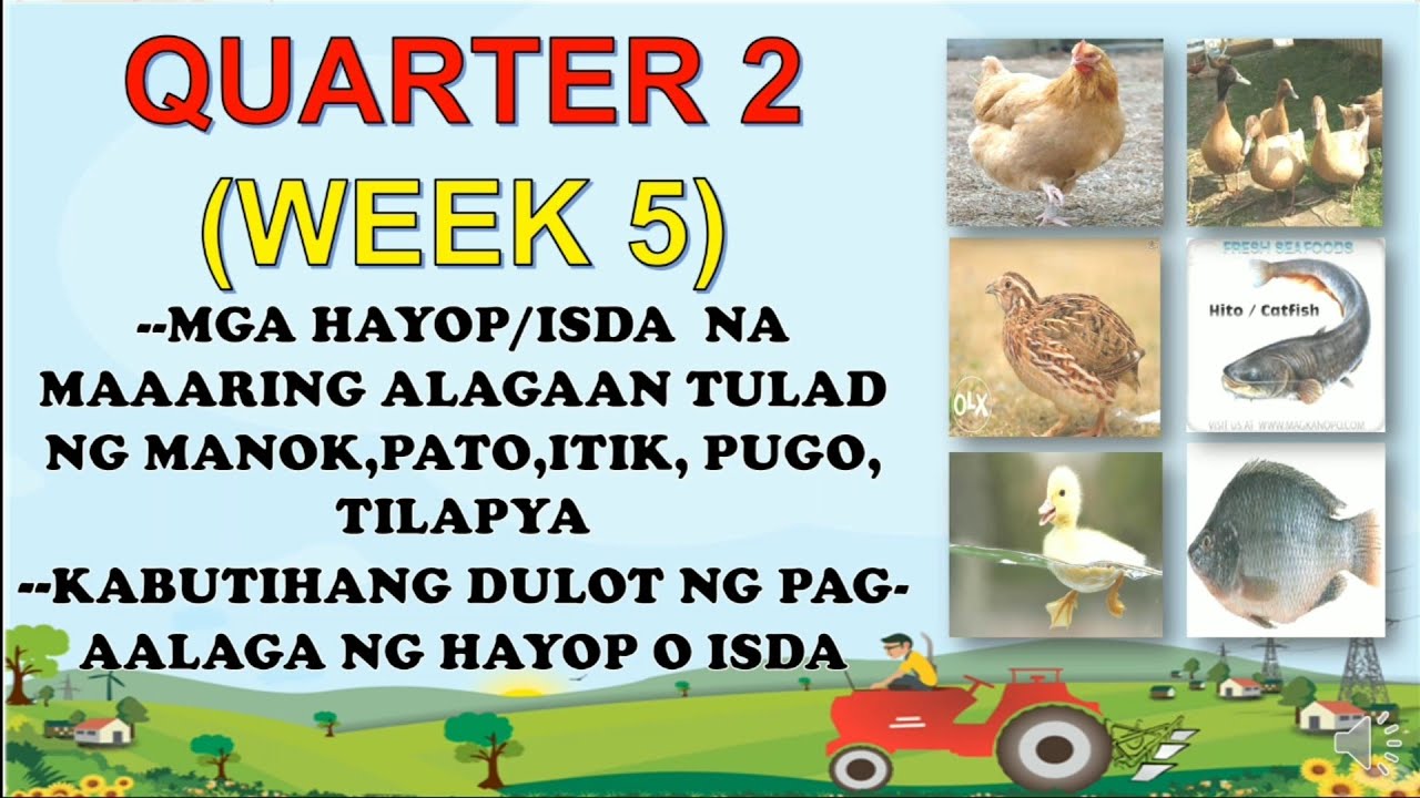 MGA HAYOP NA MAAARING ALAGAAN - MELC BASED