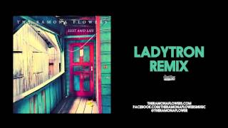 The Ramona Flowers - Lust and Lies (Ladytron Remix)