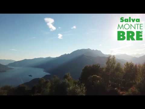 Salva Monte Brè - In A Nutshell