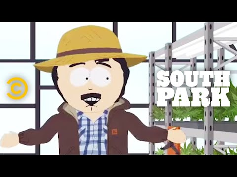 Randy Becomes a Weed Farmer – South Park