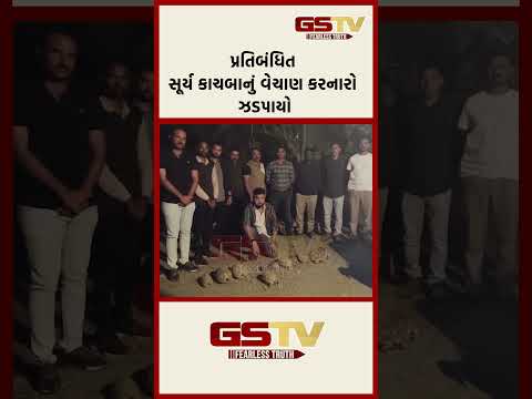 પ્રતિબંધિત સૂર્ય કાચબાનું વેચાણ કરનારો ઝડપાયો