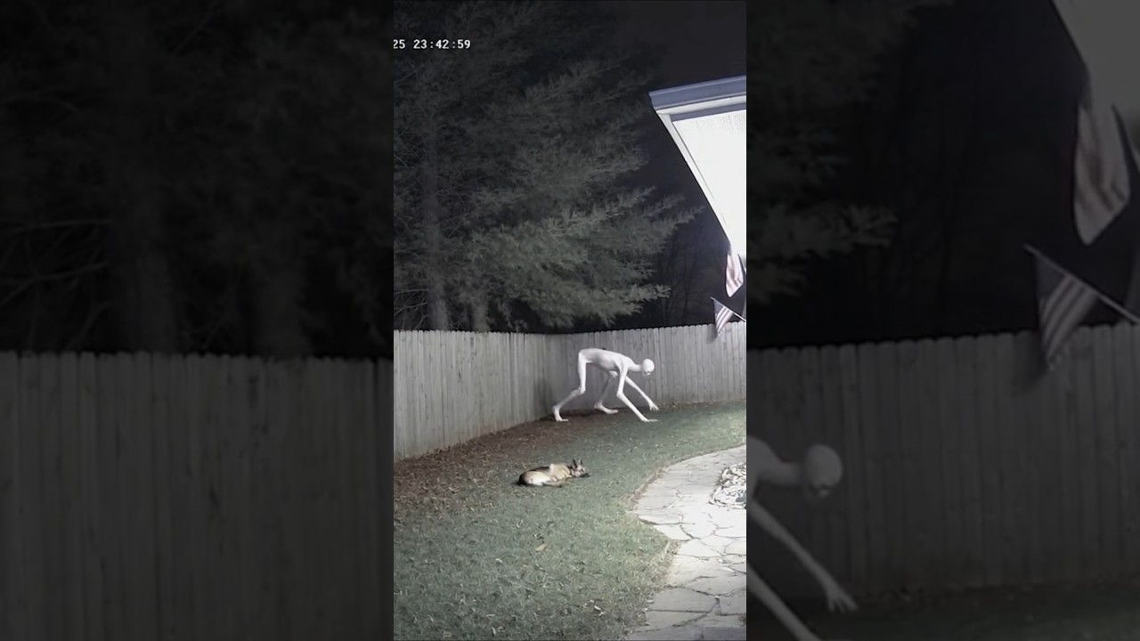 Mothman Midnight Attack Footage
