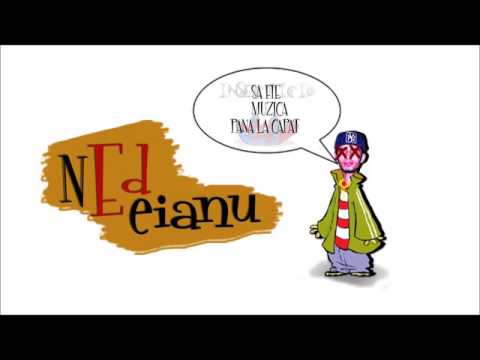 SPYDER AKA 8PICIOARE - NEDE, IA NU MAI CANTA | Disstrack