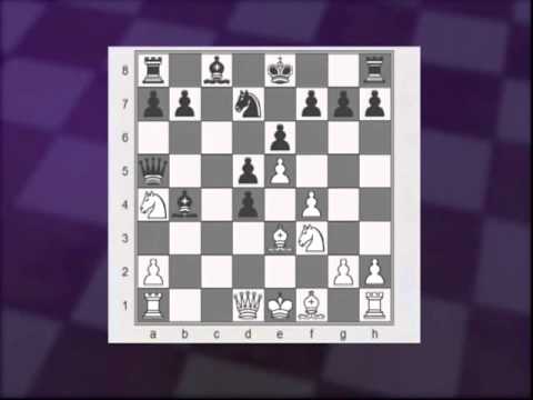 Mastering the French 3 dvd series Volume 13 by Susan Polgar
