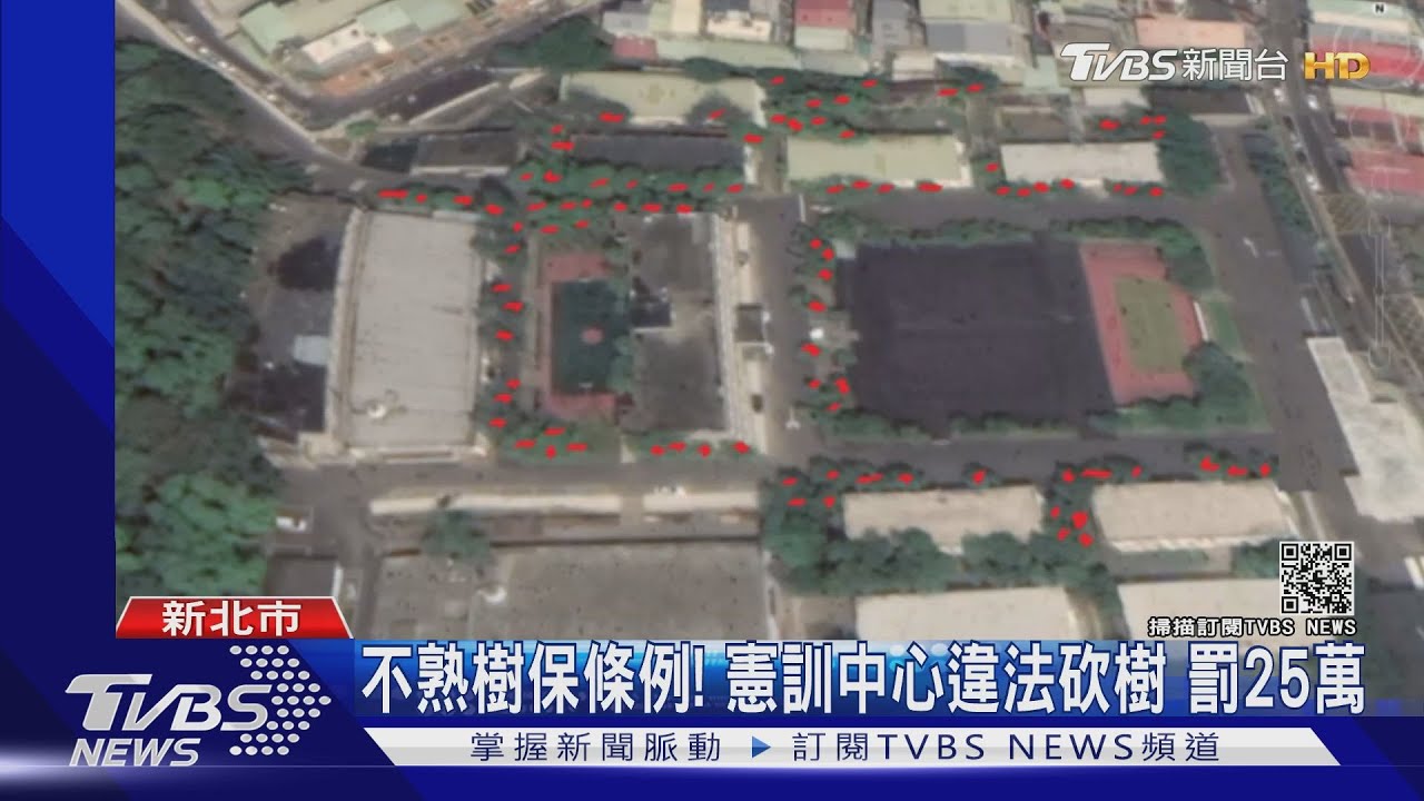 不熟樹保條例!憲訓中心違法砍樹 罰25萬
