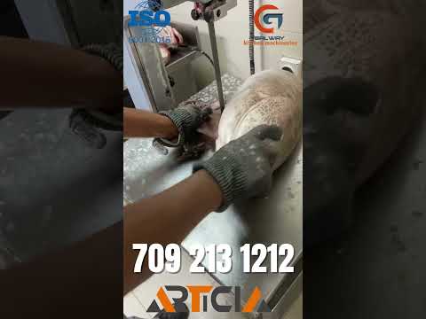 Fish slicing machine, 2 hp