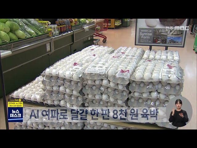 달걀 가격 여전히 불안정