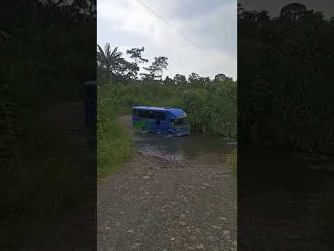 Astro Rey 16 #pasionporlosbuses #busesecuador #Loreto #ranchera🚍 #orellana #ecuador🇪🇨