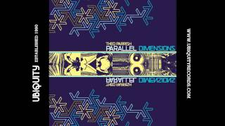 Theo Parrish - "Serengeti Echoes"