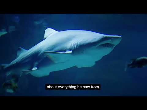 Unbelievable! This Grumpy Shark's Secret to Making Friends Will Blow Your Mind!