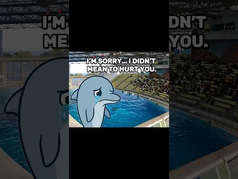 The Dolphin She Loved Most Took Her Away 💔