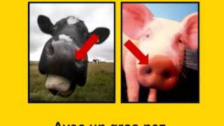 Avec un gros nez par Alain Le Lait