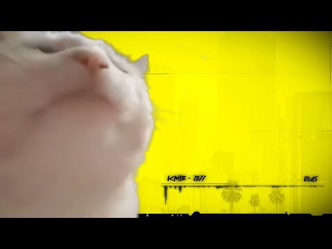 Levan Polkka funny cat vibing to Cyberpunk 2077 style music - KMB - 2077