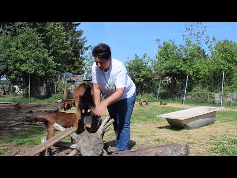 Praxistipp: Die Kitze