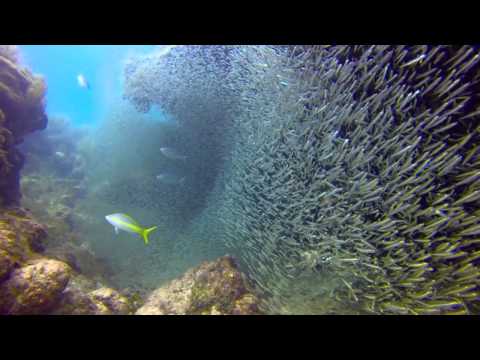 Key Largo July 2013