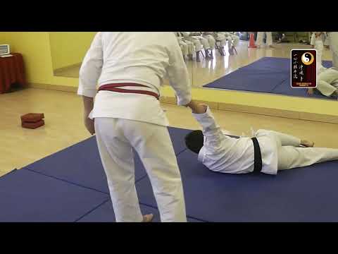Breaklocks: Rear Choke -Entangle Arm Throw – Shihan Robert Cusumano