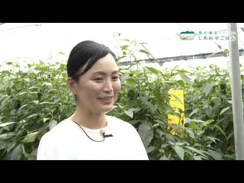 2025年4月4日(金)放送 ピーマン生産者の声