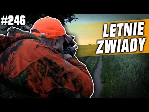 Darz Bór odcinek 246 - Letnie zwiady