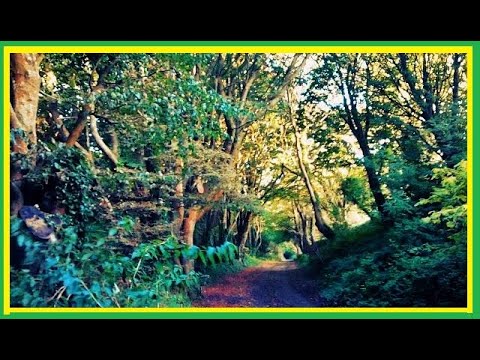 Ready To Go - Tony Rebel ft Marcia Griffiths