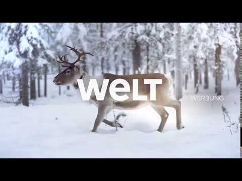 WELT Werbetrenner – einzelnes Rentier (seit Mitte Januar 2021 - Ende Februar 2021)