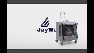 น้องหมาเล่นวิ่งไล่จับกับกระเป๋าสัตว์เลี้ยงล้อลาก Jaywa