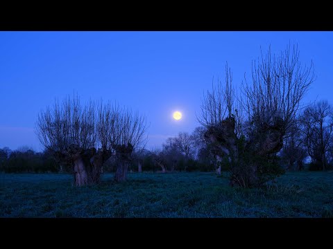 Zwischen Vollmond und Sonnenaufgang am Niederrhein