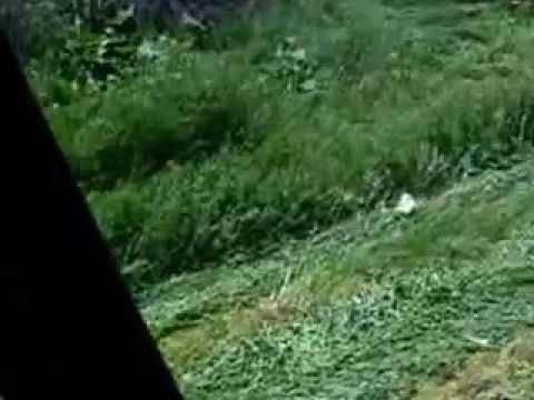 la cosat la hotarani