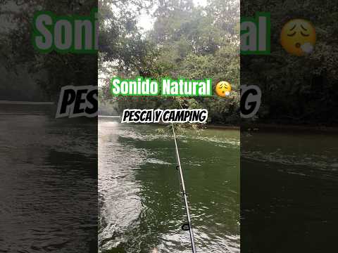 Río Claro ✅ #rioclaro #pesca #aventura #khuztravl