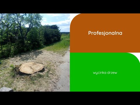 Dejar Jarosław Dębski - video