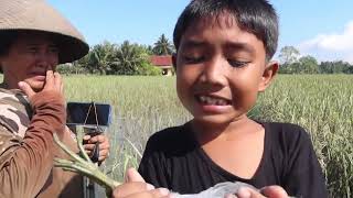 Download lagu Brilliant idea mas YUGO!!! Hunting pests BIRD mandar STONE mp3