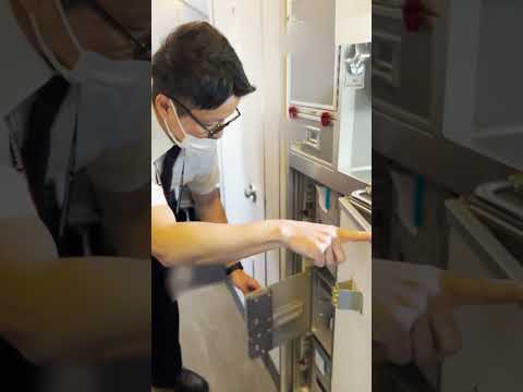 アリは「航空貨物」で移動しました