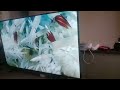 Blue Planet Part 29
