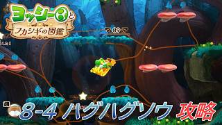 【ヨッシーとフカシギの図鑑】8-4 ハグハグソウの巣 調査、フラワーコンプリート【攻略/switch2】