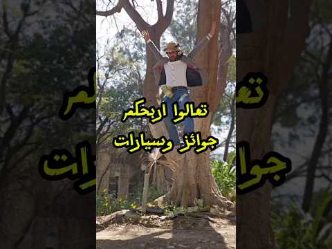 نائف الوافي