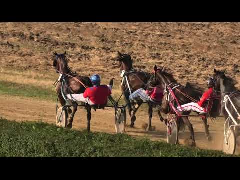 Trka "Knez Mihailo" 02 09 2018 Quick Viervil-Miodrag Pantić