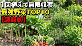 【超節約】1回植えるだけで毎年無限に収穫できる最強野菜・ハーブ10選