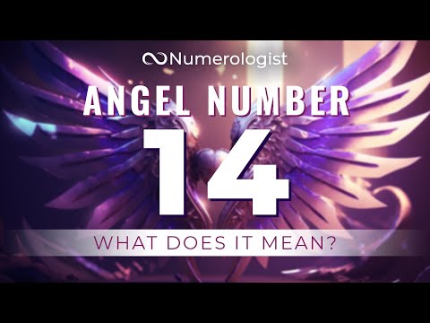 Angel Number 14