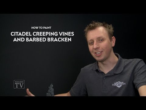 download lagu mp3 mp4 Barbed Bracken, download lagu Barbed Bracken gratis, unduh video klip Barbed Bracken