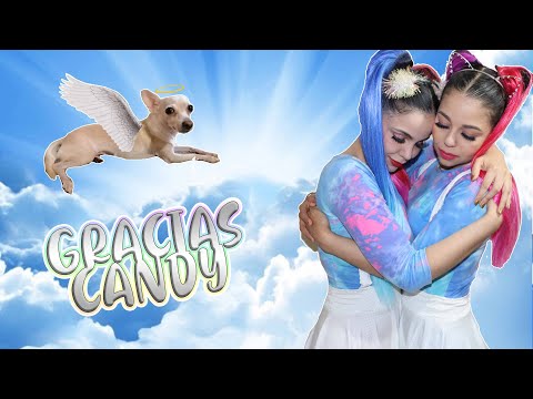 Our Dog Candy / Gaby and Gilda Died