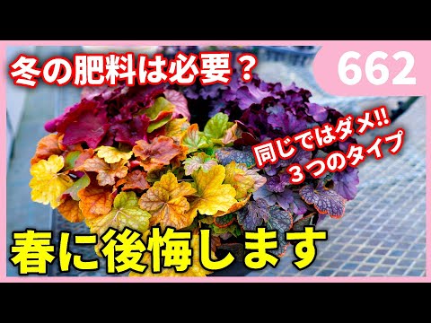 冬に肥料を与える植物はどれですか?肥料の種類と使い方は？  庭園