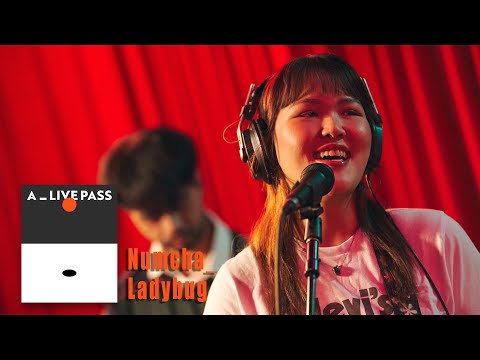 Numcha - Ladybug (Live Session)｜A_LIVE PASS