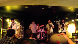 Dog Fashion Disco - Magical Band of Fools Live