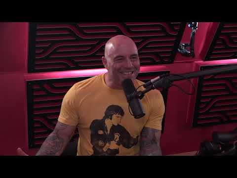Joe Rogan Experience #1623 - Doug Stanhope