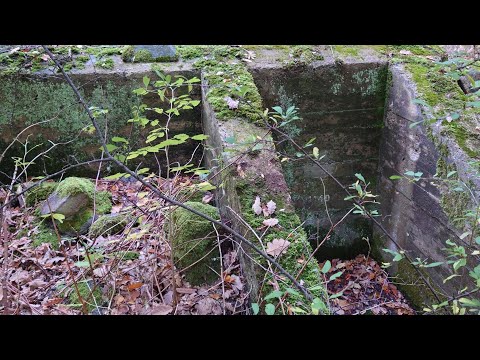 KSP-VÄRN - 211019 - Järnaviks badplats - RONNEBY - Skånelinjen - plomberad bunker - Sony Xperia I