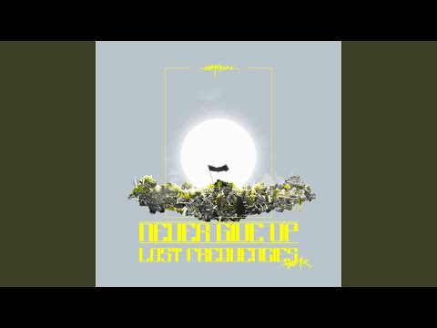 Never Give Up (Lost Frequencies Remix)